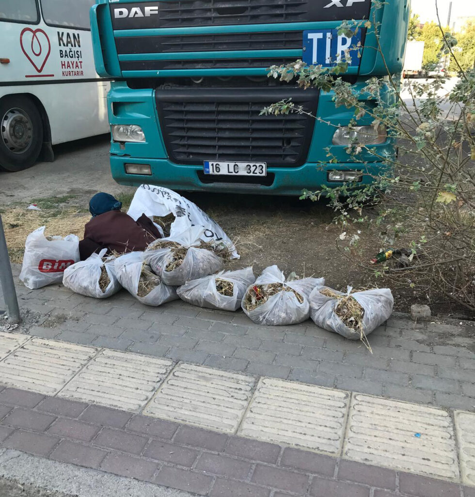 82 yaşındaki Nefise teyzeden örnek çevre hareketi